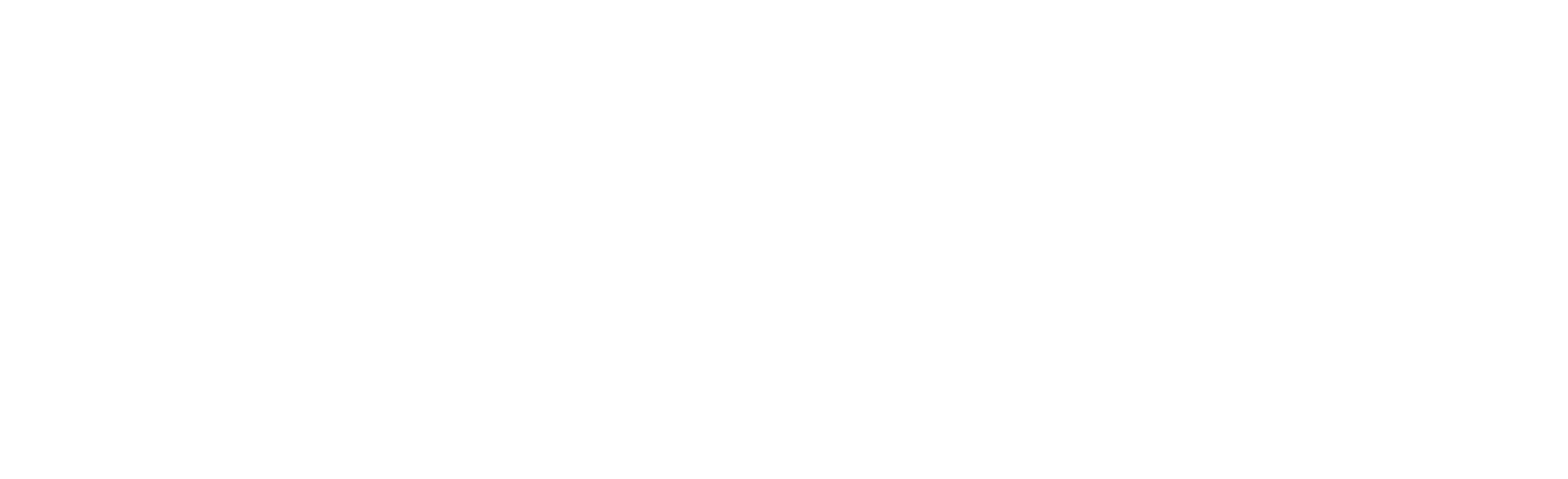 logo dark